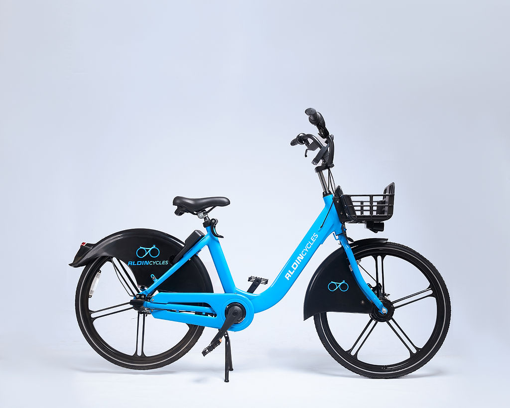 Aldin Standard Bike