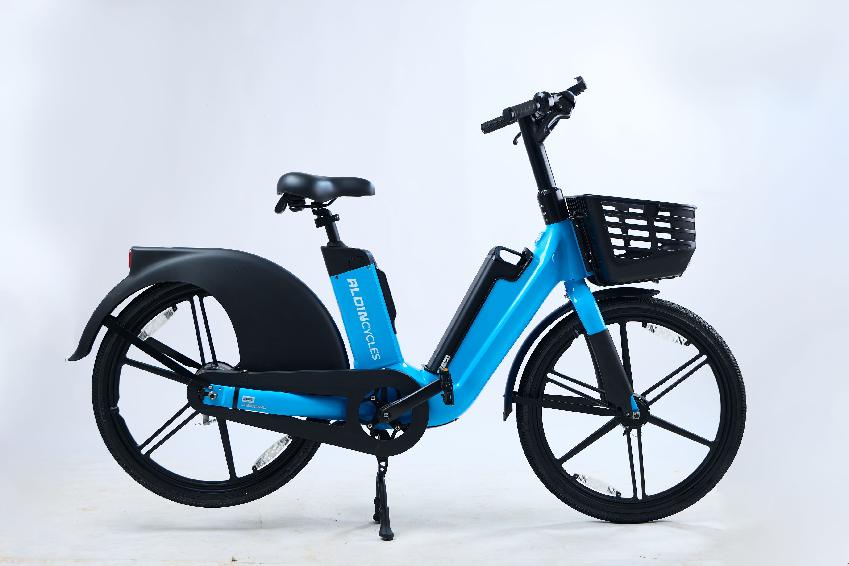 Aldin E-Bike